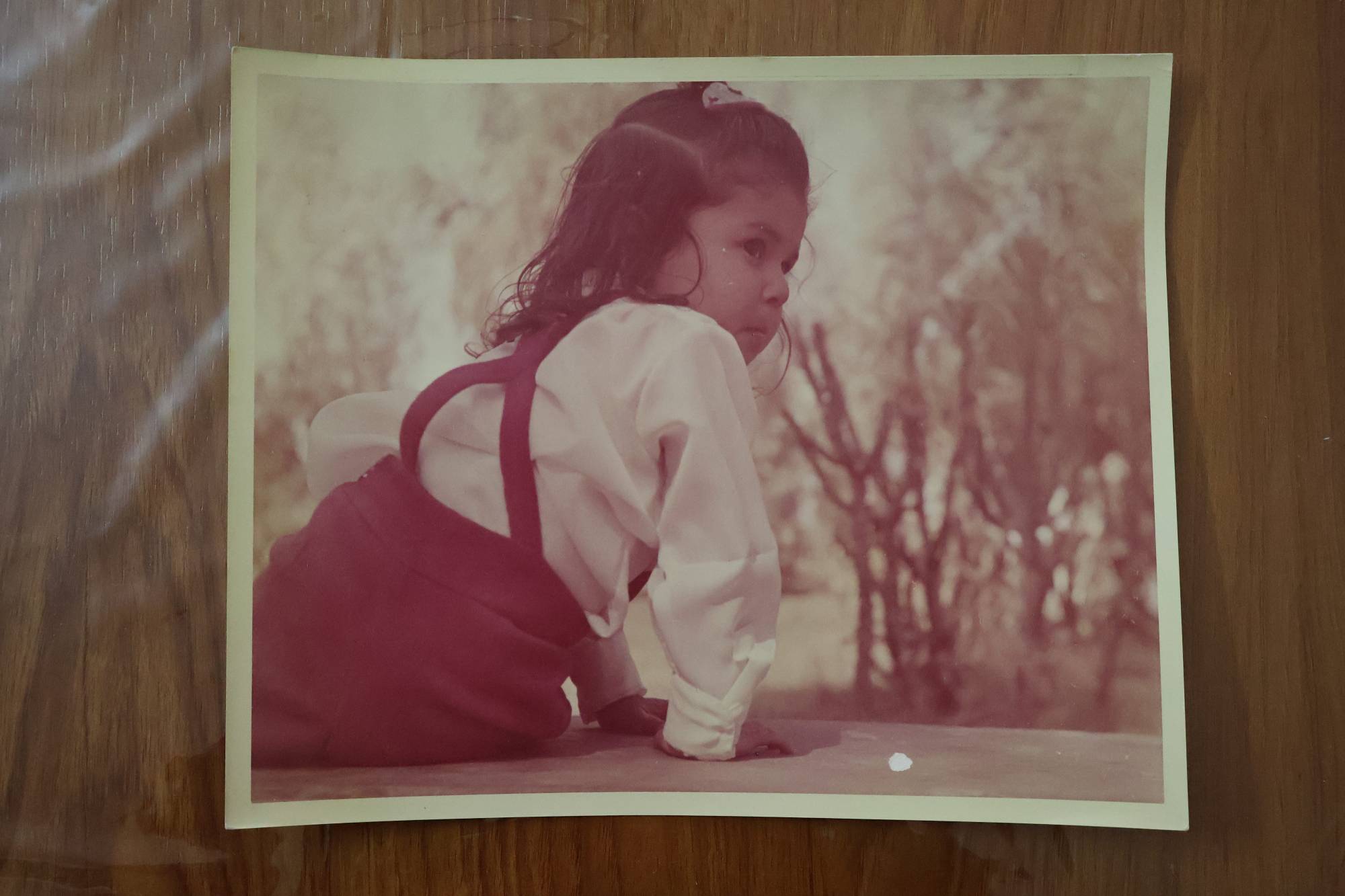 Panchhi Petha shri sunil kumar ji